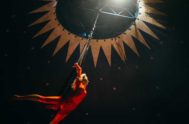 VIDEO O acrobată de 25 de ani a căzut de la înălțime la un circ din Satu Mare. Care este starea tinerei