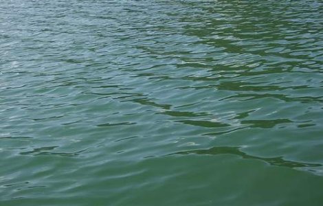 Aproximativ 50 de case si gospodarii, inundate in judetul Arges