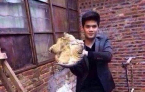  Foto  De ce nu este niciodata indicat sa incerci sa saruti o broasca