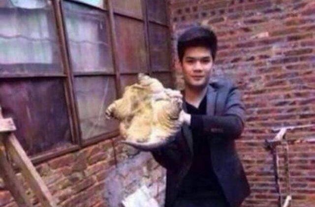 [FOTO] De ce nu este niciodata indicat sa incerci sa saruti o broasca testoasa!