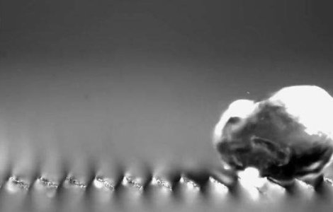  Video  Atunci cand apa curge la deal