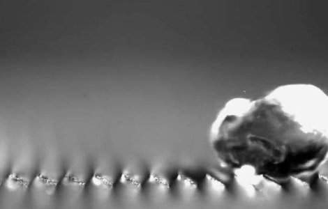  Video  Atunci cand apa curge la deal