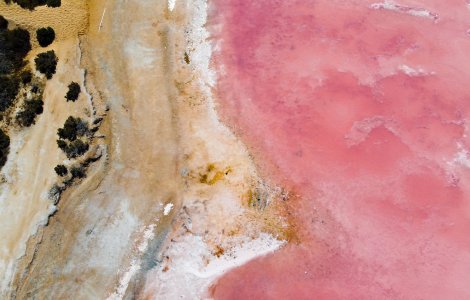  Top  Ai copii mici? Uite unde poți să mergi cu ei în vacanță