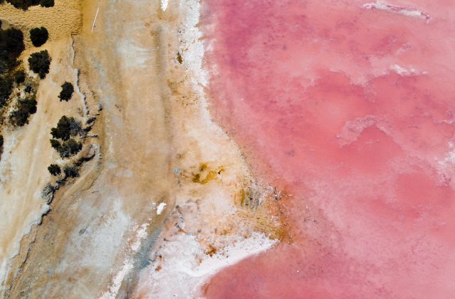 Ai copii mici? Uite unde poți să mergi cu ei în vacanță