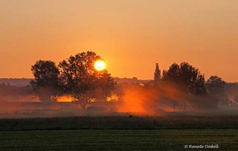 Rusia: Cea mai grava canicula din ultimii "1.000 de ani"