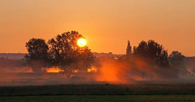 Rusia: Cea mai grava canicula din ultimii "1.000 de ani"