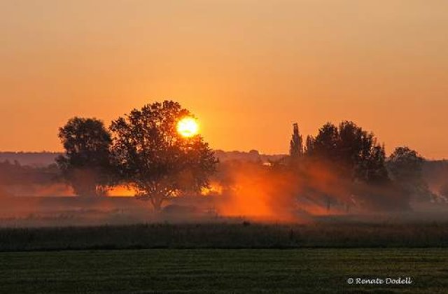Rusia: Cea mai grava canicula din ultimii "1.000 de ani"