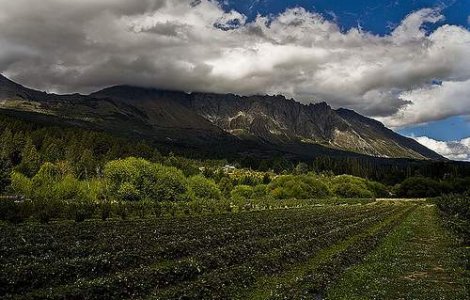 "Hotul prins, impuscat de paznic"