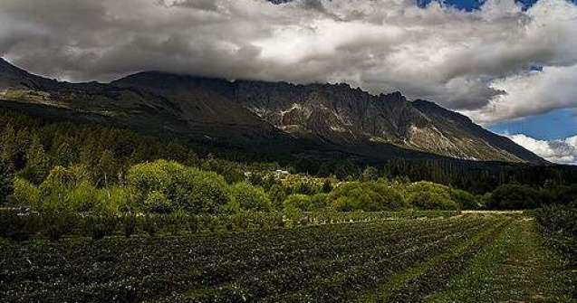 "Hotul prins, impuscat de paznic"