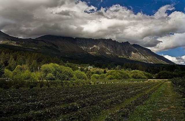 "Hotul prins, impuscat de paznic"