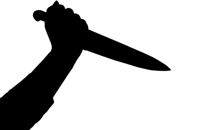 Studenta din Fagaras, ucisa de un hot recidivist