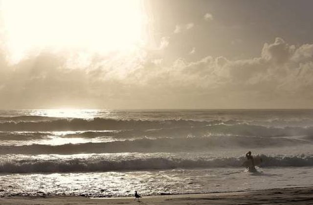 Cutremur de 7,6 in arhipelagul Vanuatu