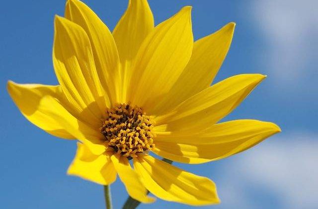 Prognoza meteo: Cum va fi vremea in weekend