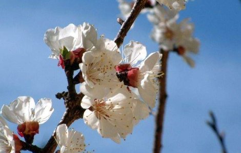 Prognoza meteo pentru urmatoarele trei luni: Cum va fi VREMEA de Paste si de 1 Mai