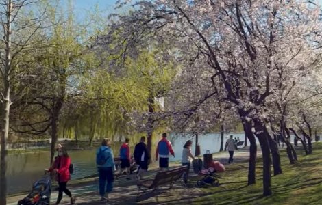 Prognoza meteo pentru marți, 22 martie 2022. Vremea se încălzește în toată țara