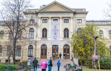 Vizitează gratuit muzeele din București. Cum poți beneficia de această șansă