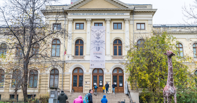 Vizitează gratuit muzeele din București. Cum poți beneficia de această șansă