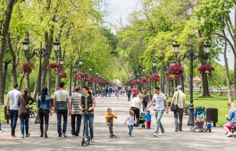 Primăvara își intră în drepturi. Vremea se încălzește pe tot teritoriul României