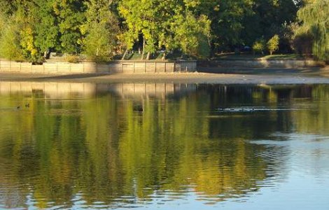 Corpul unei femei, gasit plutind pe lacul Herastrau din Capitala