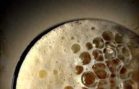 Asiaticii bat europenii...la bere