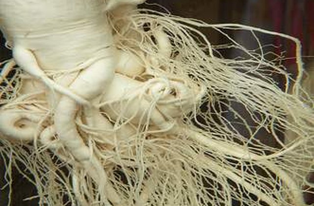 Coreea de Nord vrea sa-si plateasca datoriile in..ginseng