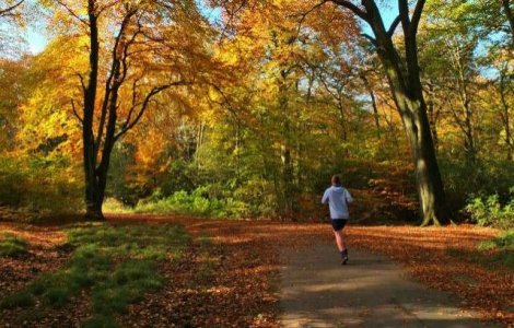 Statistica: 60% din romanii nu fac niciodata sport