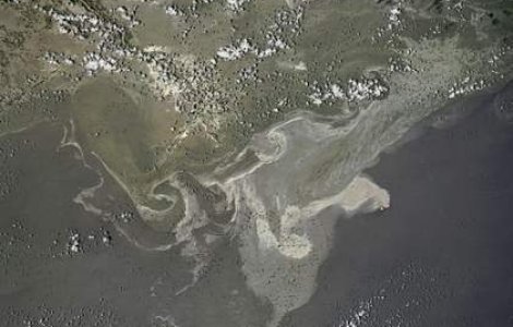 Statul american Alabama cere compensatii BP