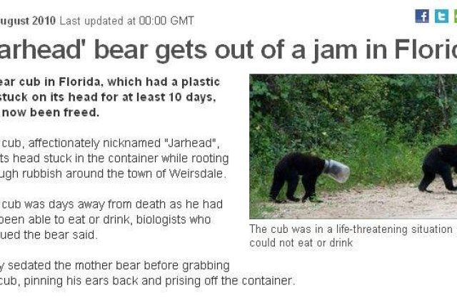 Un ursulet a stat zece zile cu botul intr-un borcan de plastic