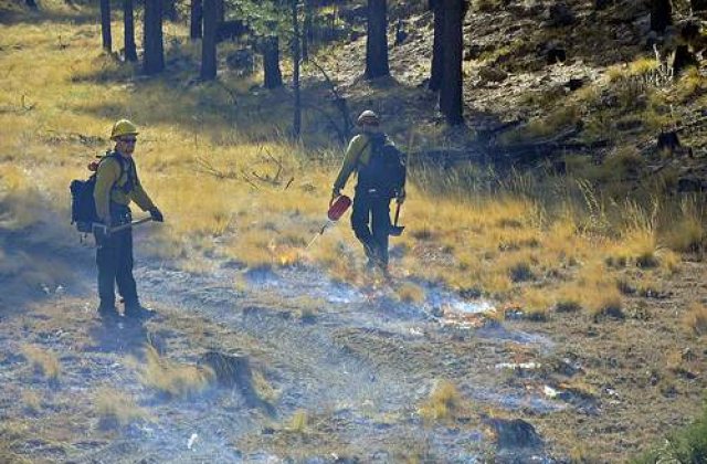 Incendiile au distrus 750 de hectare de padure in Spania