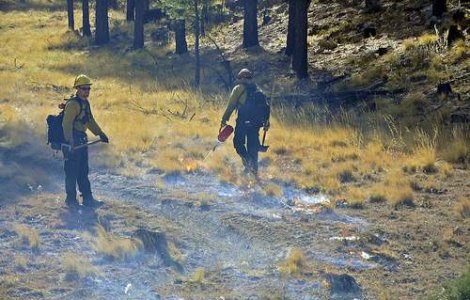 Incendiile au distrus 750 de hectare de padure in Spania