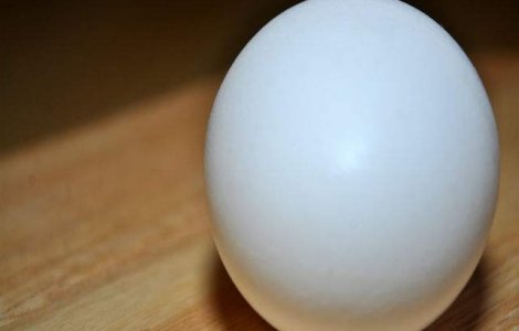  Video  Fascinantl! Cum "inoata" un ou crud la 20 de metri sub apa