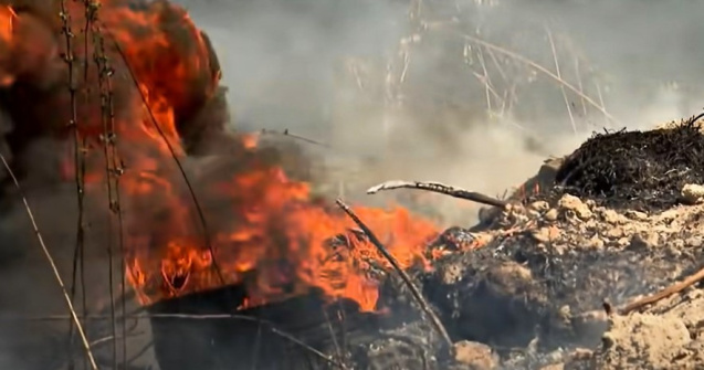 România, groapa de gunoi a altora. Firul banilor se întinde dincolo de granițe