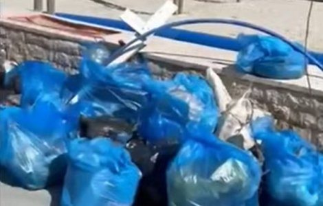 Un grup de refugiați a curățat plaja de la Mamaia Nord din proprie inițiativă