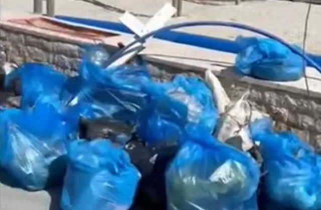 Un grup de refugiați a curățat plaja de la Mamaia Nord din proprie inițiativă