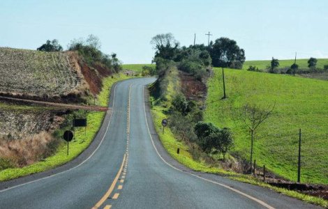 Copacii bioluminiscenti ar putea inlocui iluminatul stradal