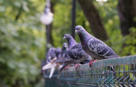  Top  Prognoza meteo pentru miercuri, 30 martie 2022. ANM: Vreme caldă