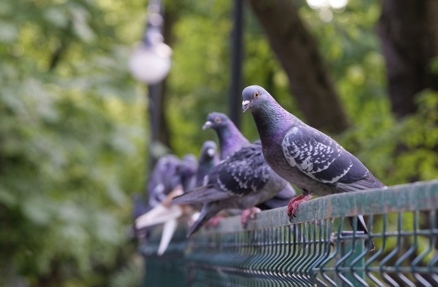 Prognoza meteo pentru miercuri, 30 martie 2022. ANM: Vreme caldă 