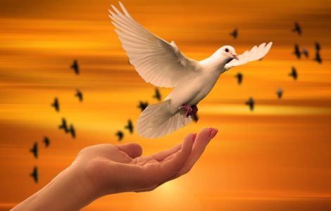 „Ridicăm o rugă închinată păcii. Susținem Ucraina! Susținem viața! (VIDEO)" | Campanie marca Metropola TV