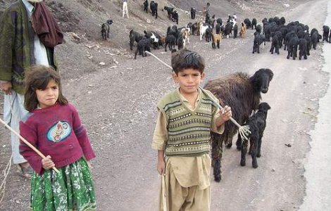  Top  Viata romilor din Franta: Lacrimi si tipete - nimeni nu vrea in Romania!