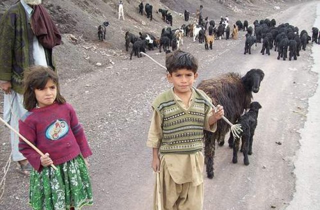 Viata romilor din Franta: Lacrimi si tipete - nimeni nu vrea in Romania!