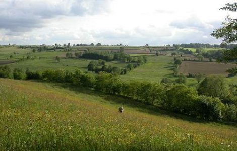 Creste impozitul pe terenurile agricole?