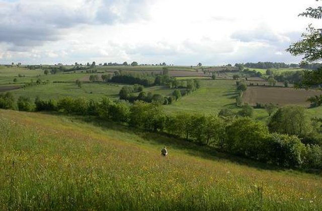Creste impozitul pe terenurile agricole?