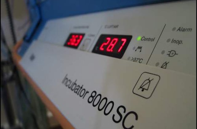 Incubatoarele de la Giulesti, duse la expertiza