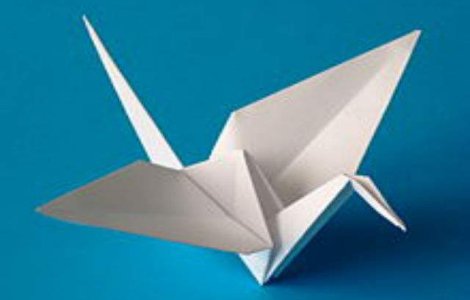  Video  O tanara poate face origami cu limba