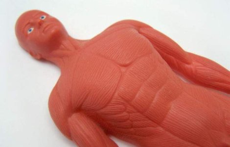 Cercetatorii americani au creat tesutul muscular care se poate vindeca singur