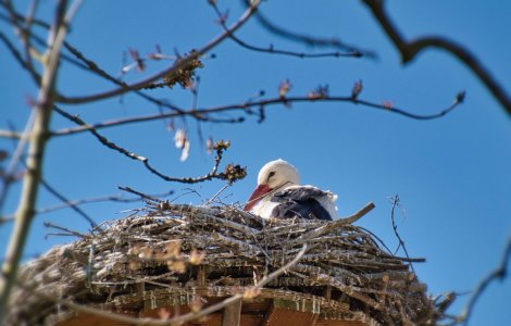  Top  Prognoza meteo pentru miercuri, 6 aprilie 2022. Vremea se va încălzi treptat în toată țara