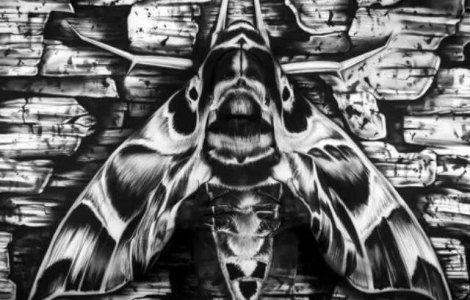  Video  Observati ce se ascunde in spatele imaginii pictate!