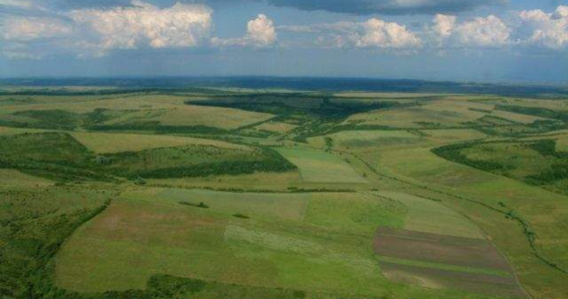 Constantin: Culturile agricole au nevoie de precipitatii in urmatoarea perioada