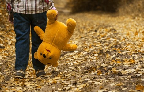 Sasha, băiețelul de 4 ani dispărut în zona Kiev în urmă cu o lună, a fost găsit mort