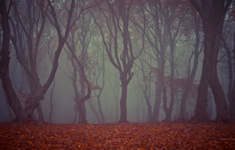  Top  CINCI locuri mai puțin știute din România de văzut o dată în viață